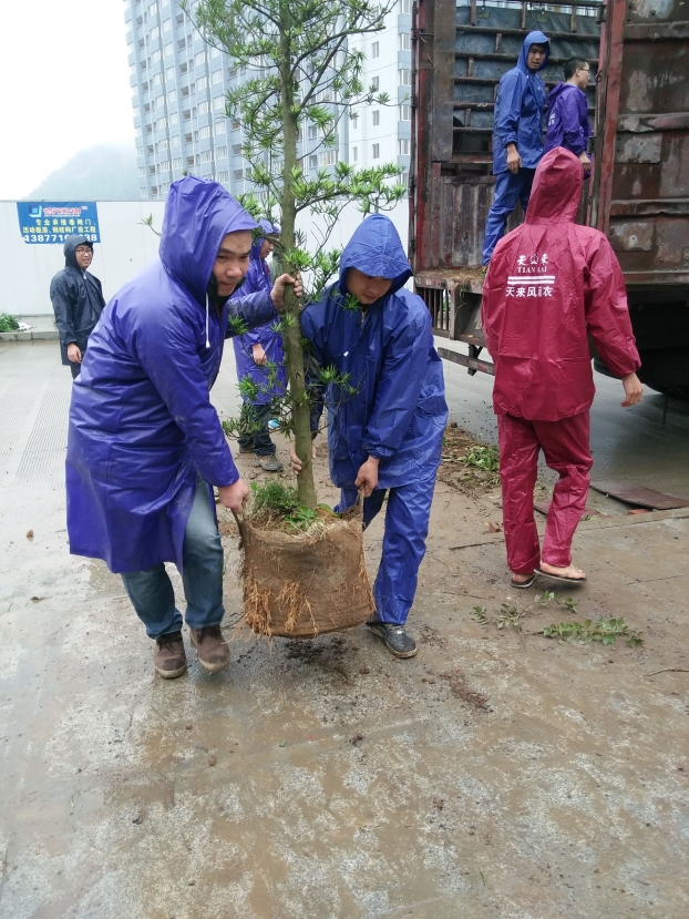 首页|ng电子游戏中国集团官方网站