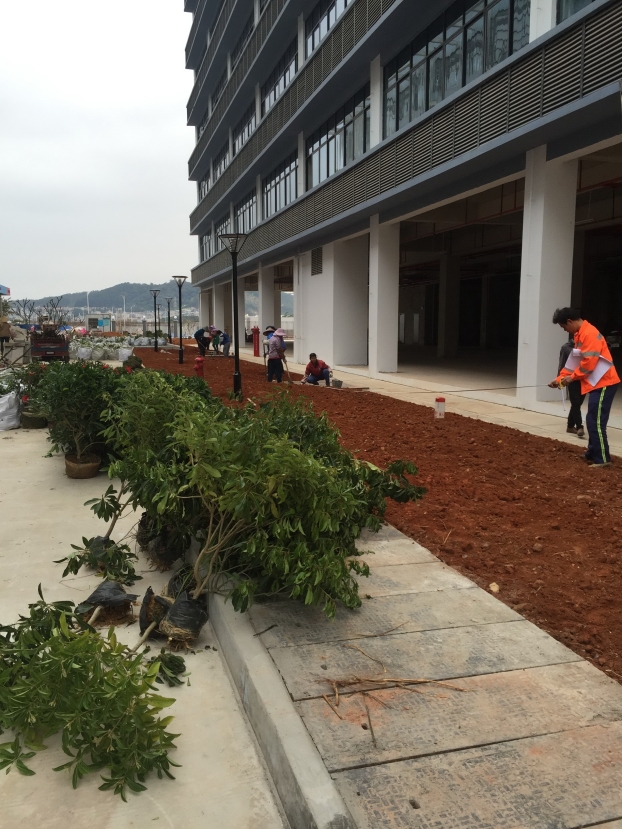 首页|ng电子游戏中国集团官方网站