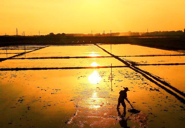 5摄影作品《耕作》获三等奖。。。韦荣伟 摄-13768307144700.jpg