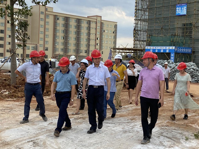 调研现场。韦艳兰 摄.png